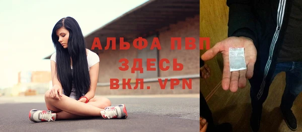 apvp Алексин