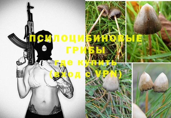дмт Алзамай