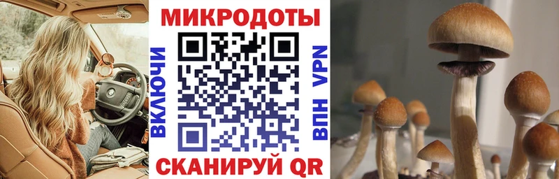 OMG вход  Брянск  Галлюциногенные грибы GOLDEN TEACHER  наркота 